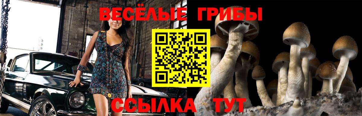 Галлюциногенные грибы мухоморы Дмитров