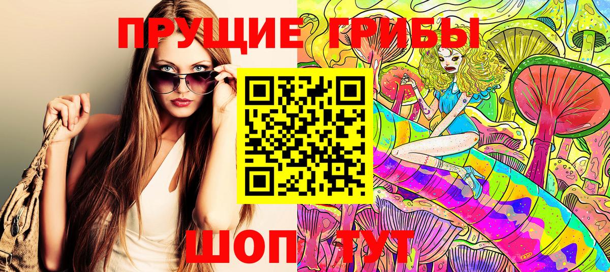 Дмитров  Псилоцибиновые грибы Psilocybine cubensis  Вход с VPN 